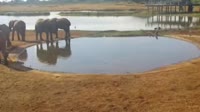 Voi - Tsavo East National Park