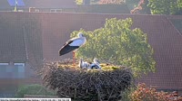 Miniaturansicht