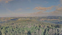 Föckelberg - Potzberg