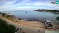 Umag - Saint & Sinner