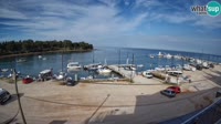Savudrija - Marina