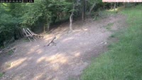 Veszprém - Mangeoires d'oiseaux