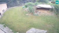 Ljubljana - ZOO