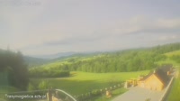 Zalesie - Mogielnica