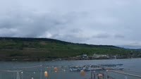 Bingen am Rhein - Vue sur le Rhin