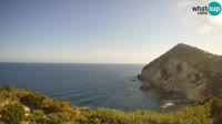 Ponza - Cala Cecata