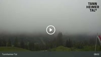 Nesselwängle - Haller