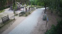 Miško parkas
