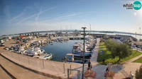 Tkon - Marina