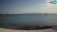 Silba - Šotorišće beach