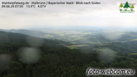 Maibrunn - Waldwipfelweg - Forêt bavaroise