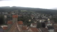Markdorf - Cigognes