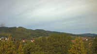 Bad Tabarz - Burgholz