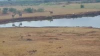 Voi - Tsavo East National Park