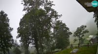 Tolminske Ravne - Planina Razor - Migovec