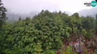 Tolminske Ravne - Planina Razor - Vogel