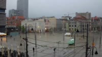 Rynek