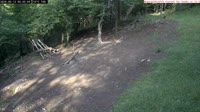 Veszprém - Karmniki i budki dla ptaków