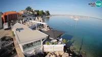 Novigrad - Porporela