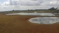Voi - Parco nazionale dello Tsavo