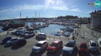 Novigrad - Porporela Marina