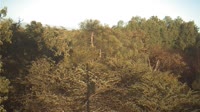 Riserva speciale di Beza Mahafaly