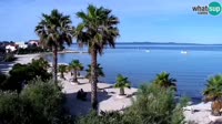 Vir - Plaża