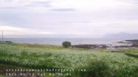 Laukvik