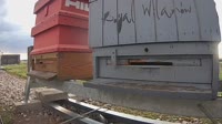 Pszczoły
