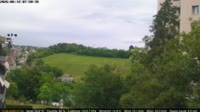 Neuhausen am Rheinfall - Ren