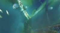 Qawra - Malta National Aquarium