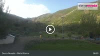 Sierra Nevada - Mirlo Blanco