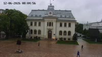 Miniaturka