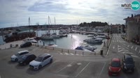 Novigrad - Porporela Marina