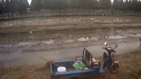 Jurong - Terreno agricolo