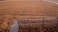 Shangqiu - Liangyuan - Farmland