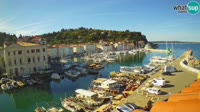 Pirano - Port Mandrač