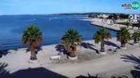 Vir - Beach