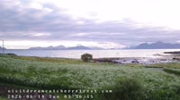 Laukvik
