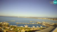 Roses - Port