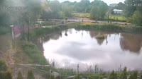 Rąbień - Stagno