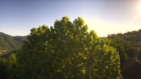 Bosia - Panorama