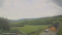 Zalesie - Mogielnica