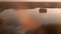 Park Narodowy Doñana - Caño de Rosalimán