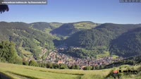 Todtnau im Südschwarzwald - Hasenhorn