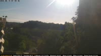 Neuhausen am Rheinfall - Reinas