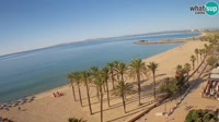 Roses - Beach