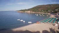 Elba - Cavoli