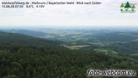 Maibrunn - Waldwipfelweg - Bavarijos miškas