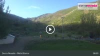 Sierra Nevada - Mirlo Blanco